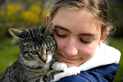 Alergia a los gatos