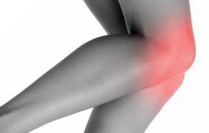 ¿De qué se trata la rodilla y cuál es su función?
