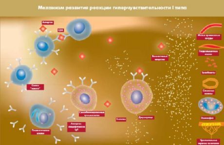 Proteína abierta, que será un nuevo objetivo para la diabetes