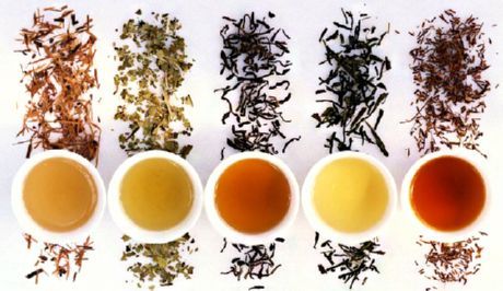 Tipos de té