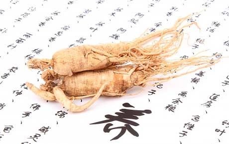 Ginseng durante el embarazo